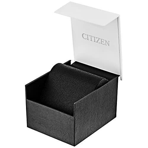 Relógio Citizen BF0580-57L - Quartzo - 40mm